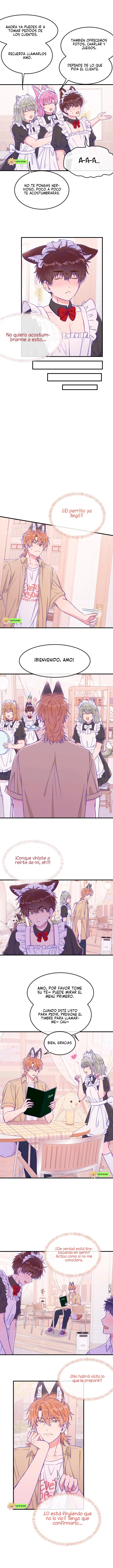 El cachorro mentiroso será devorado Capítulo 63 - Page 5