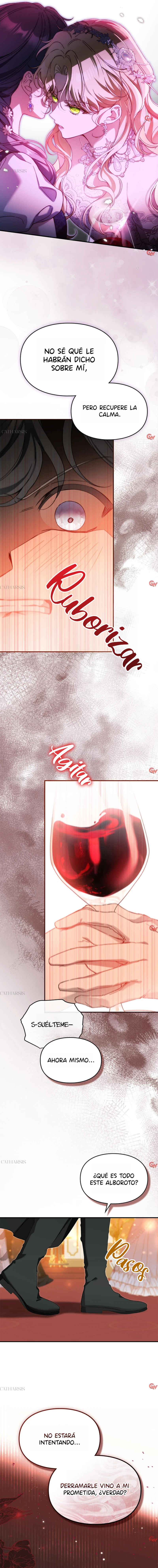 Me comprometí con el duque ciego Capítulo 32 - Page 13