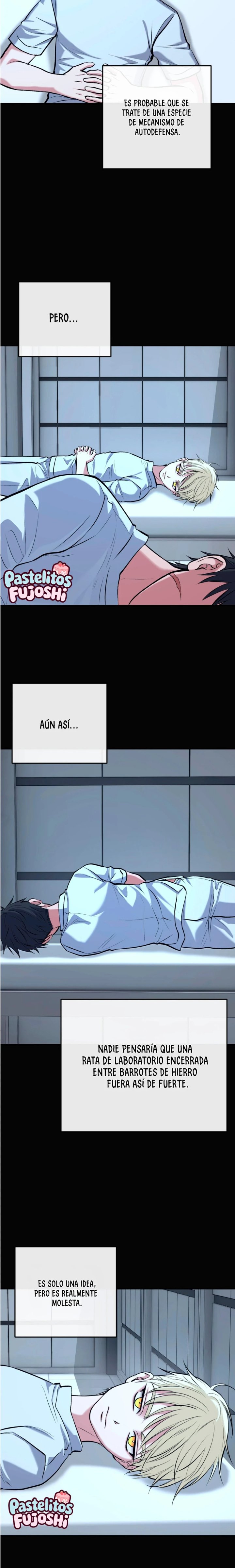 Luz al atardecer Capítulo 33 - Page 11