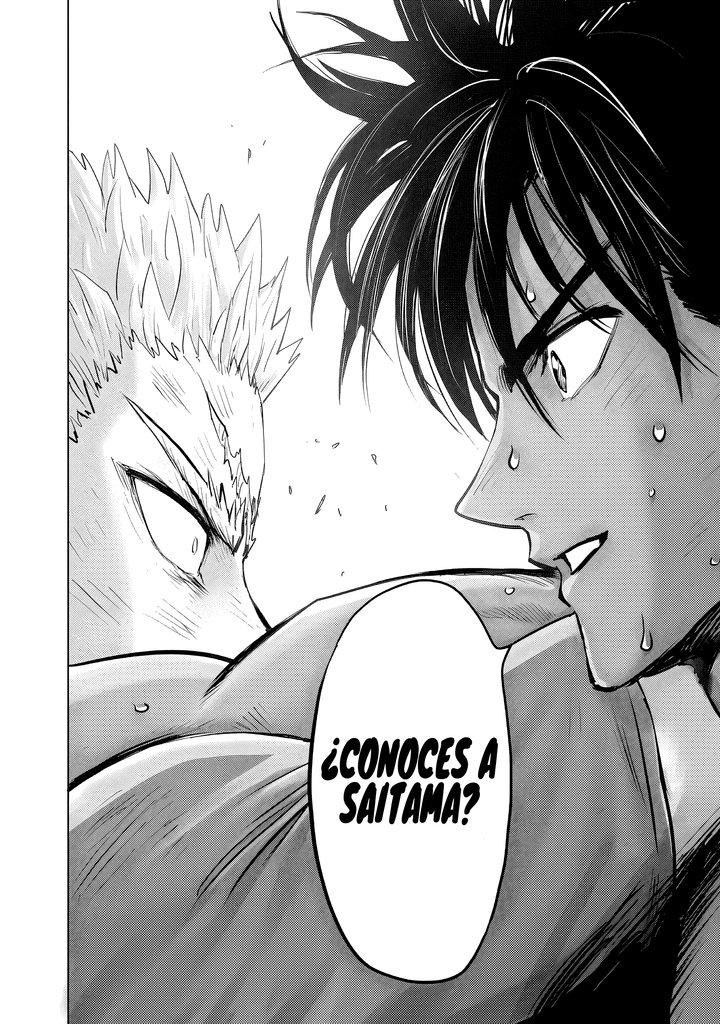 One Punch-Man Capítulo 304 - Page 21
