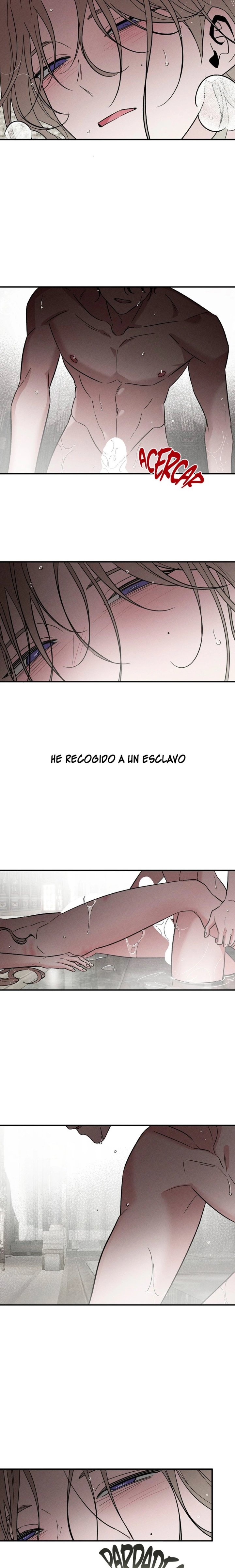 Dueño de esclavos del otro mundo (omegaverse) Capítulo 36 - Page 13