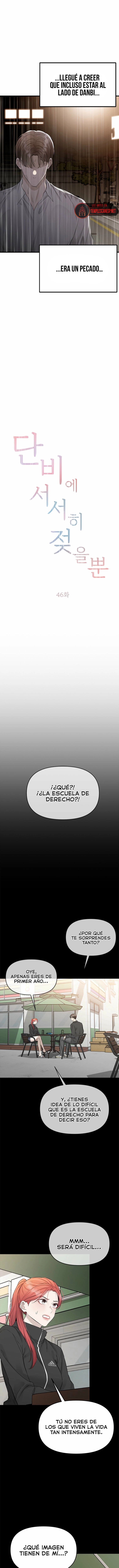 Empapandose Lentamente En La Dulce Lluvia Capítulo 46 - Page 5