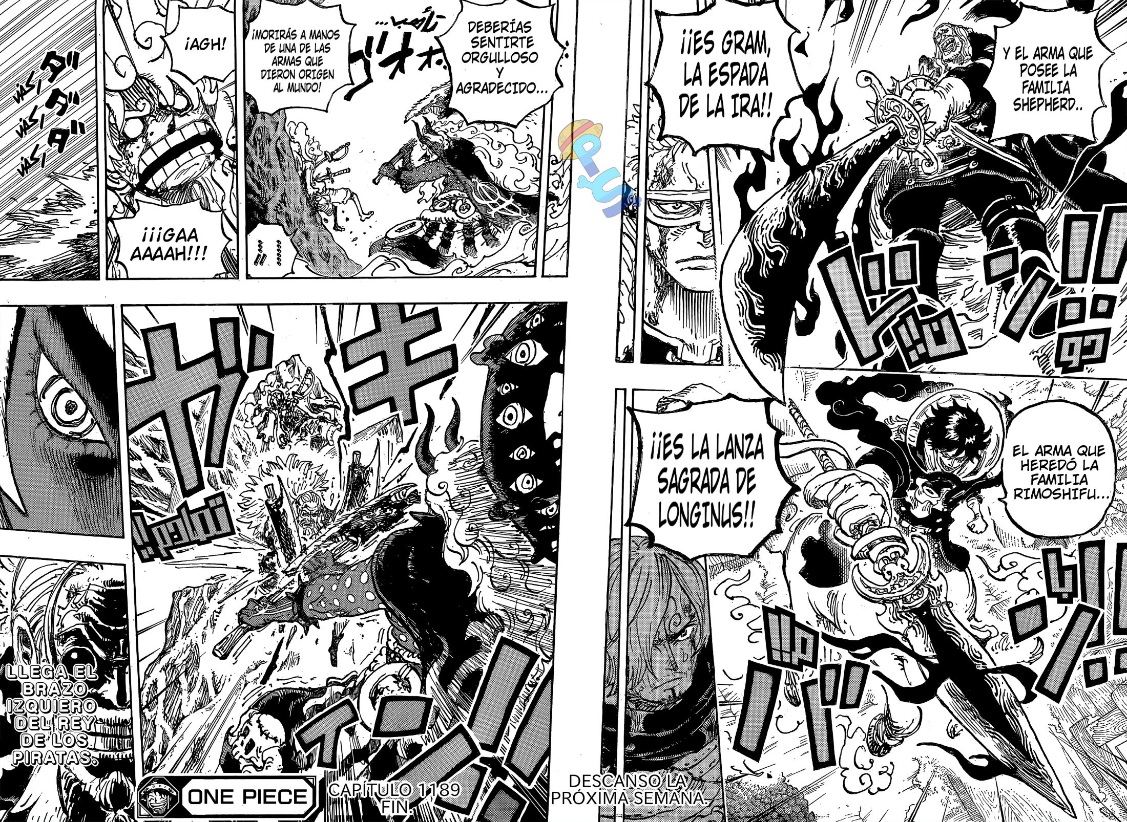 One Piece Capítulo 1189 - Page 14