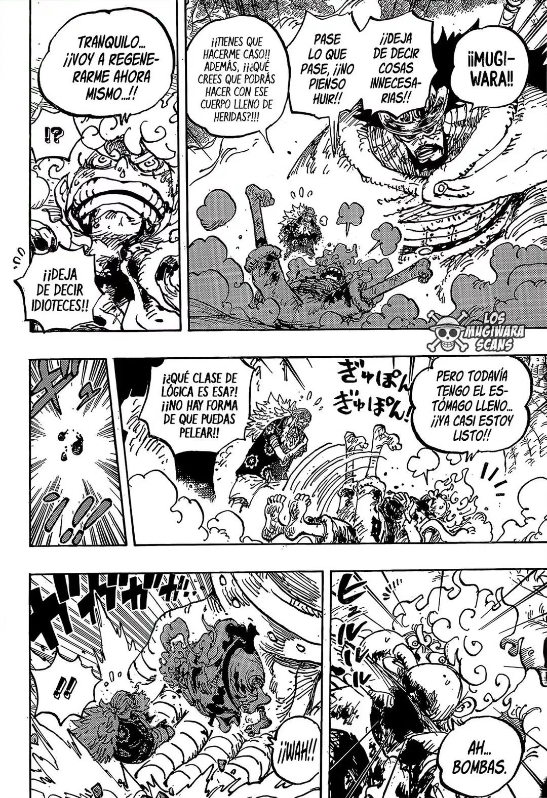 One Piece Capítulo 1191 - Page 13