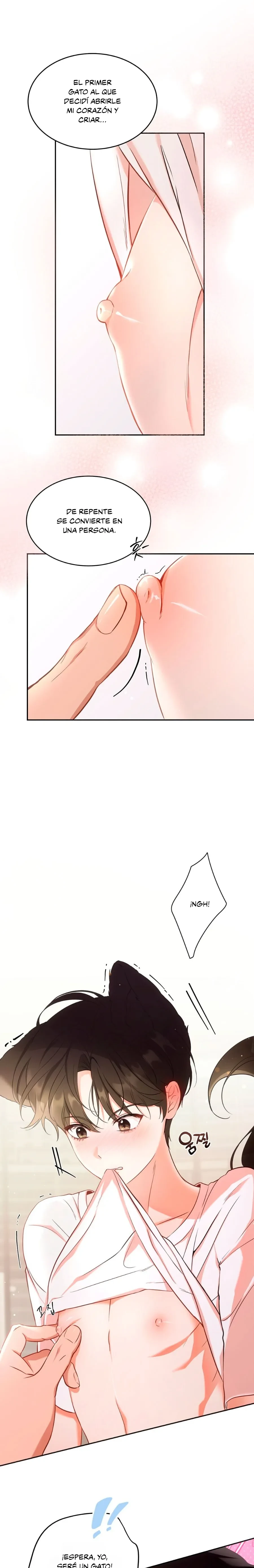 Terapia de gatos Capítulo 1 - Page 4