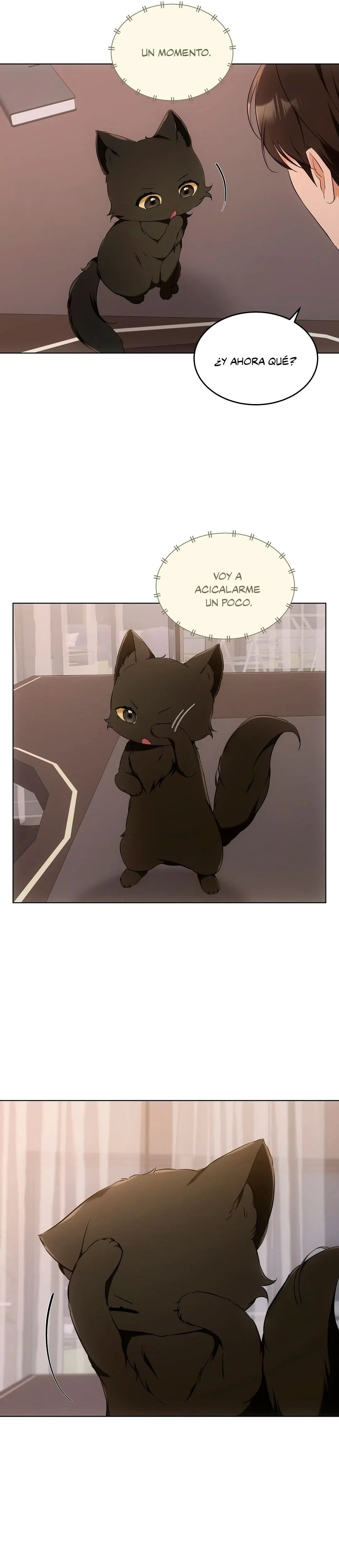 Terapia de gatos Capítulo 10 - Page 12