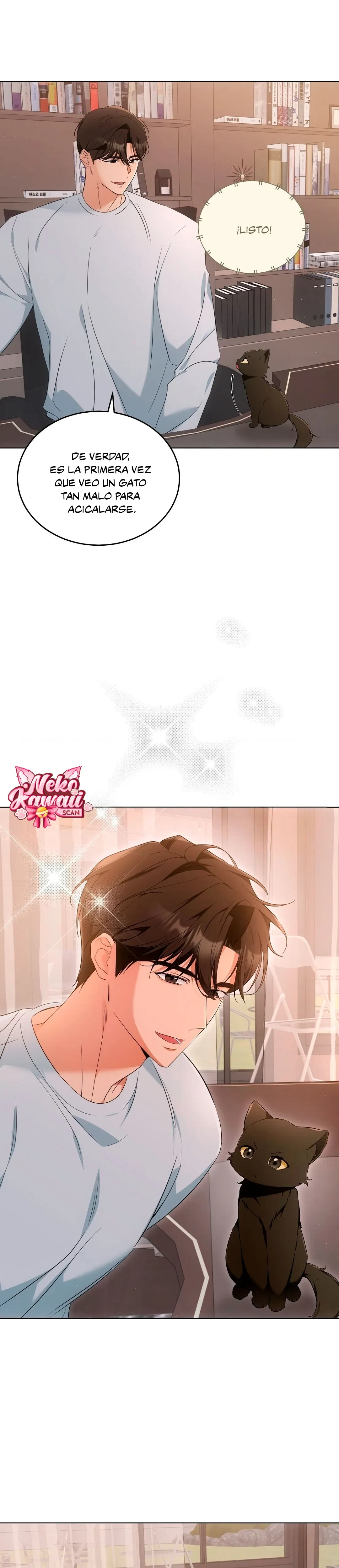 Terapia de gatos Capítulo 10 - Page 13