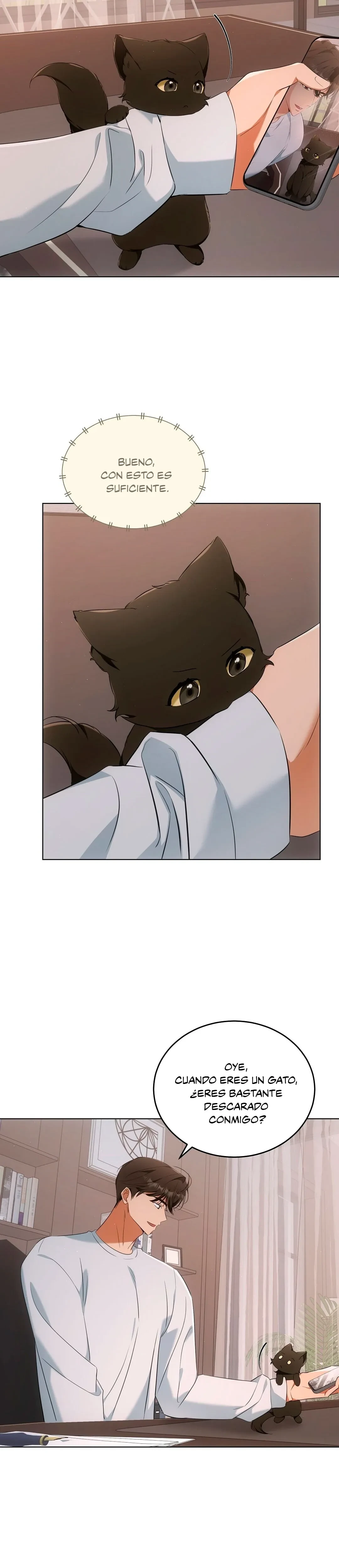 Terapia de gatos Capítulo 10 - Page 14