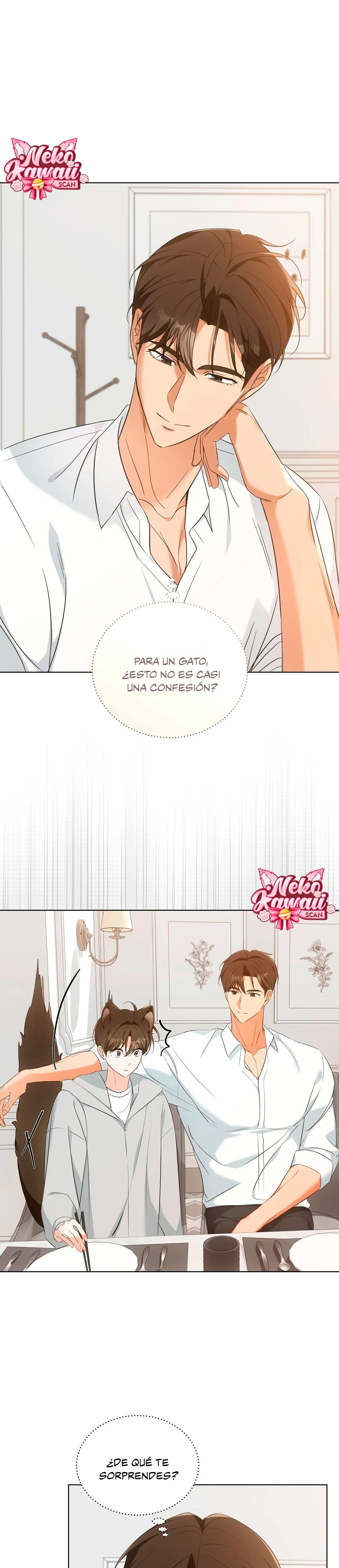 Terapia de gatos Capítulo 10 - Page 2