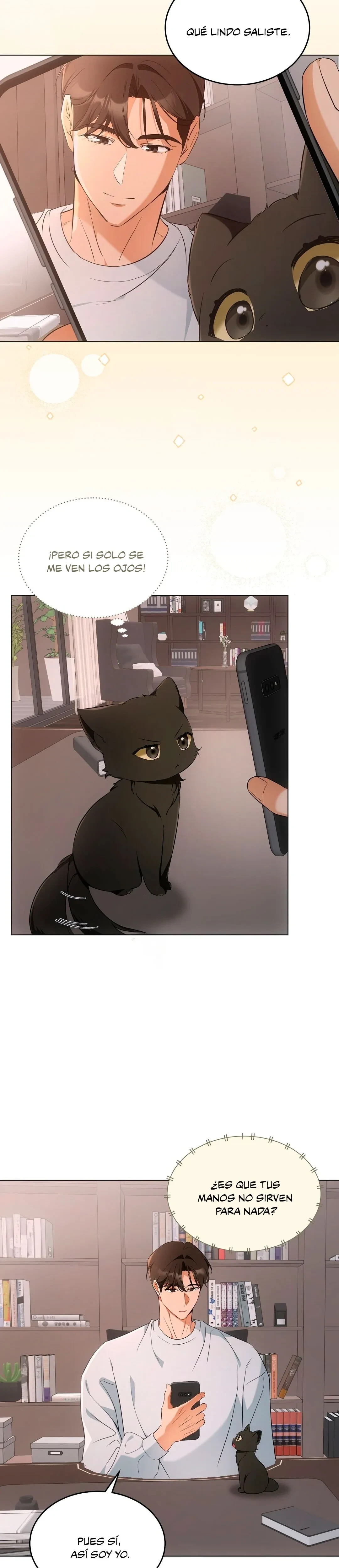 Terapia de gatos Capítulo 10 - Page 8
