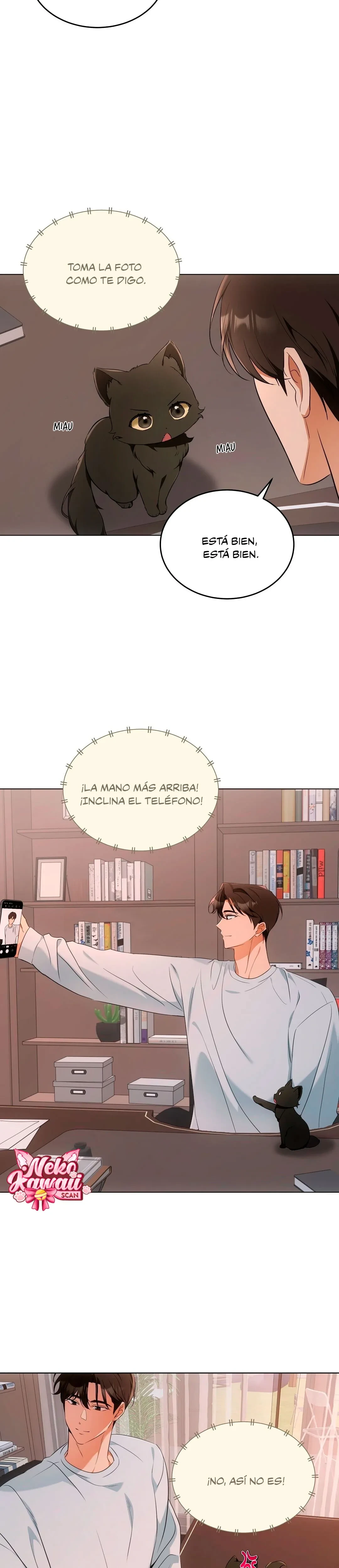 Terapia de gatos Capítulo 10 - Page 9