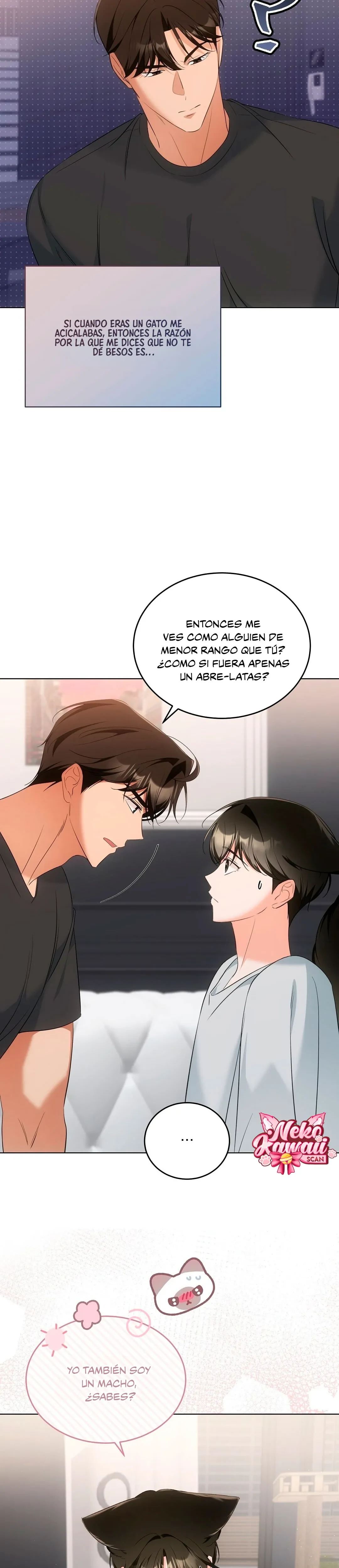 Terapia de gatos Capítulo 11 - Page 18