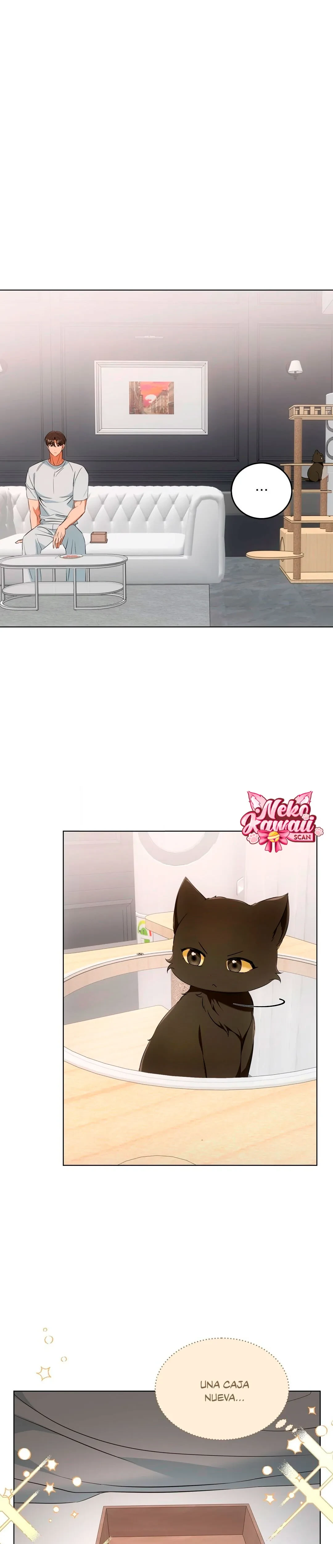 Terapia de gatos Capítulo 11 - Page 2