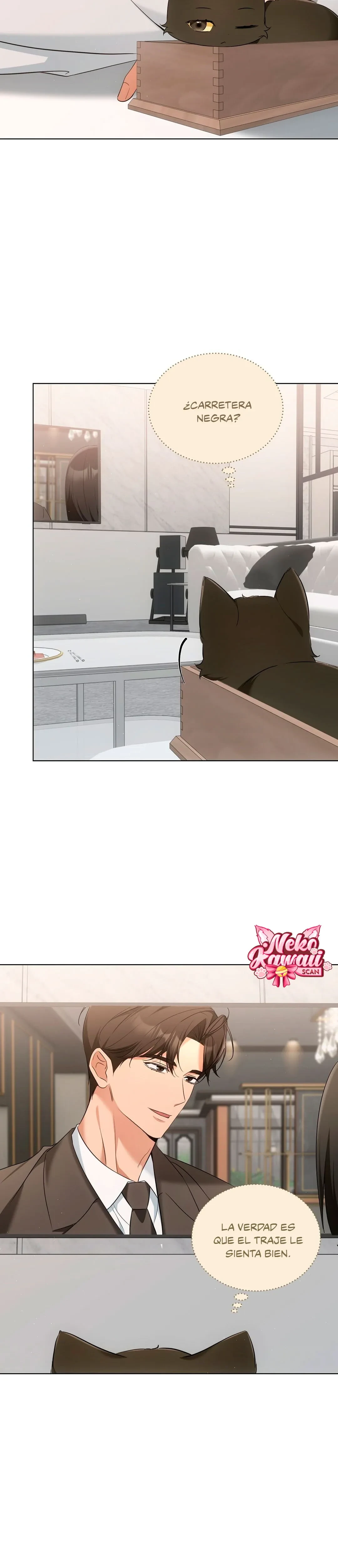 Terapia de gatos Capítulo 11 - Page 5