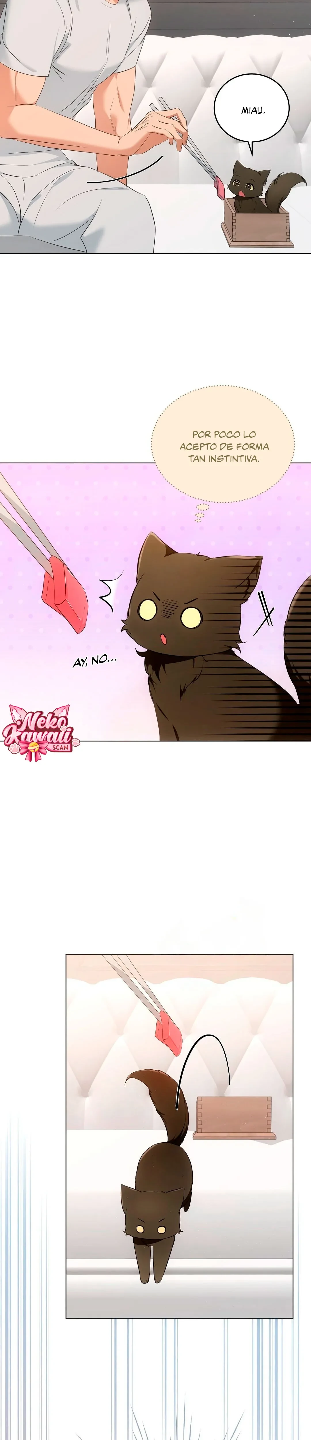 Terapia de gatos Capítulo 11 - Page 8