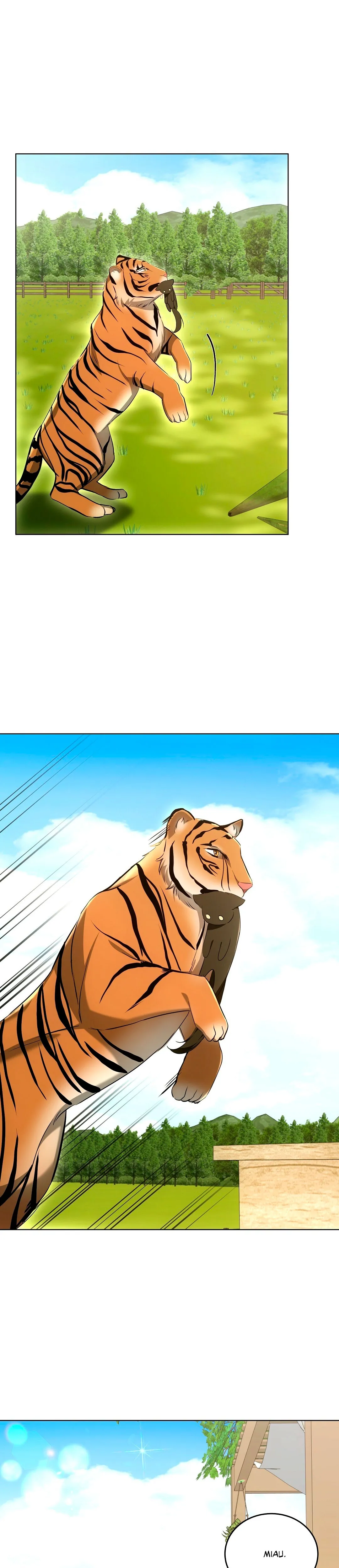 Terapia de gatos Capítulo 12 - Page 20