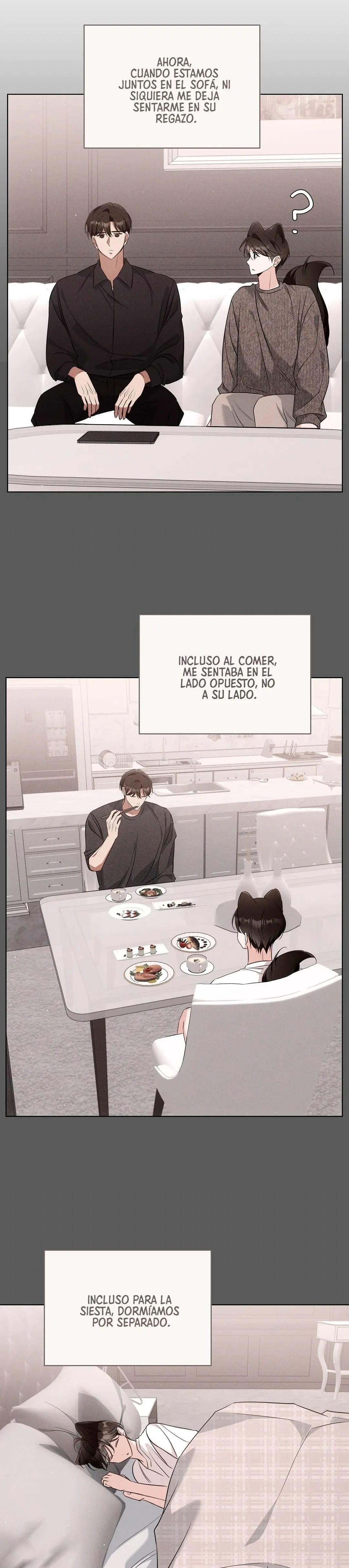 Terapia de gatos Capítulo 19 - Page 11