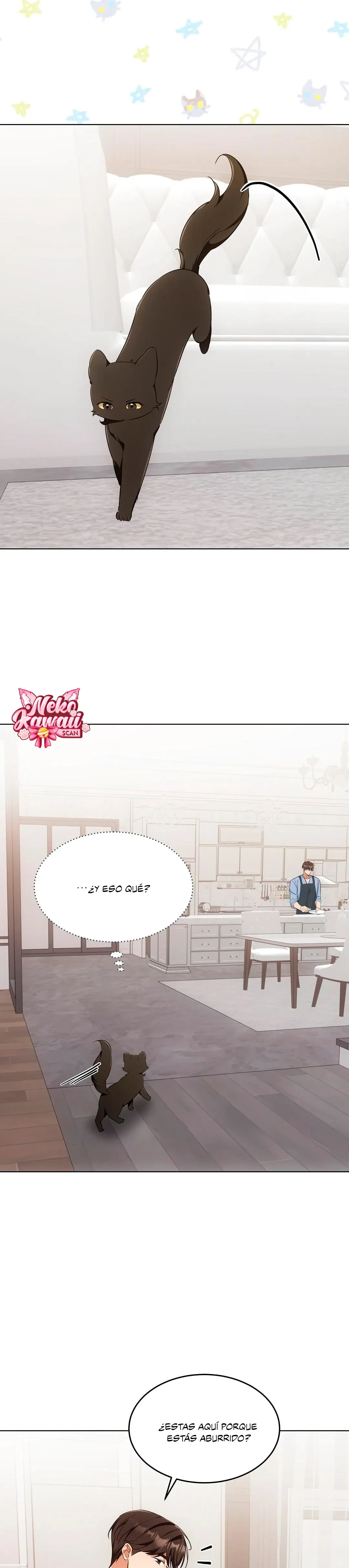Terapia de gatos Capítulo 19 - Page 3