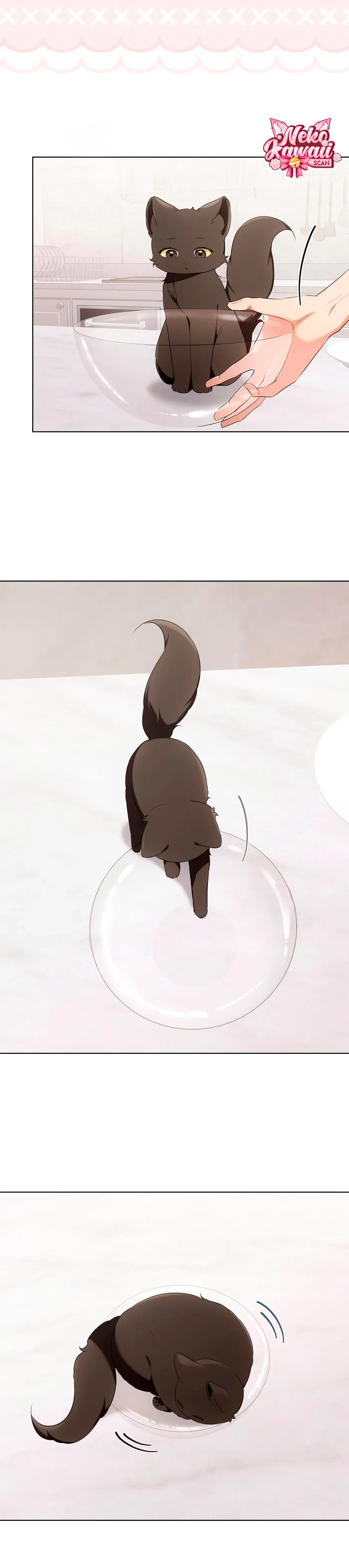 Terapia de gatos Capítulo 19 - Page 5