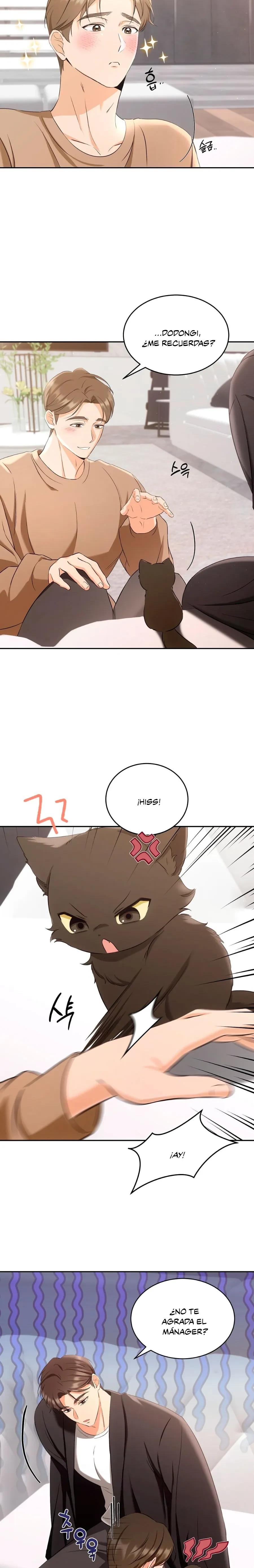 Terapia de gatos Capítulo 2 - Page 15