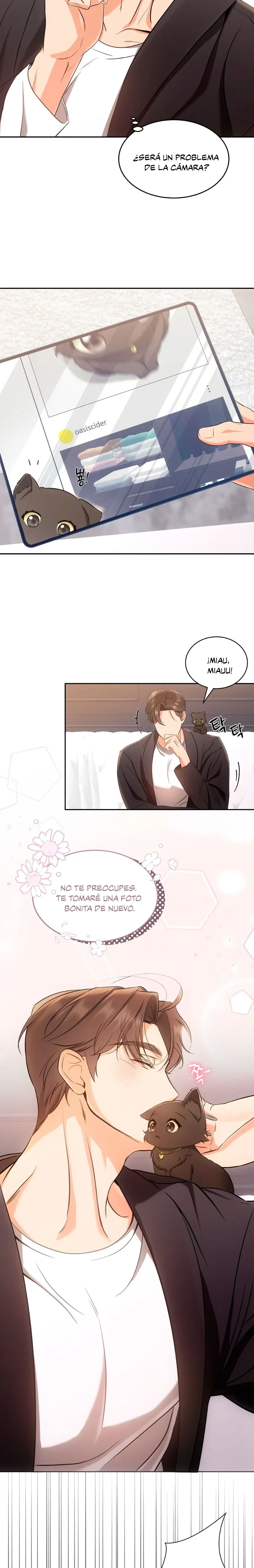 Terapia de gatos Capítulo 2 - Page 21