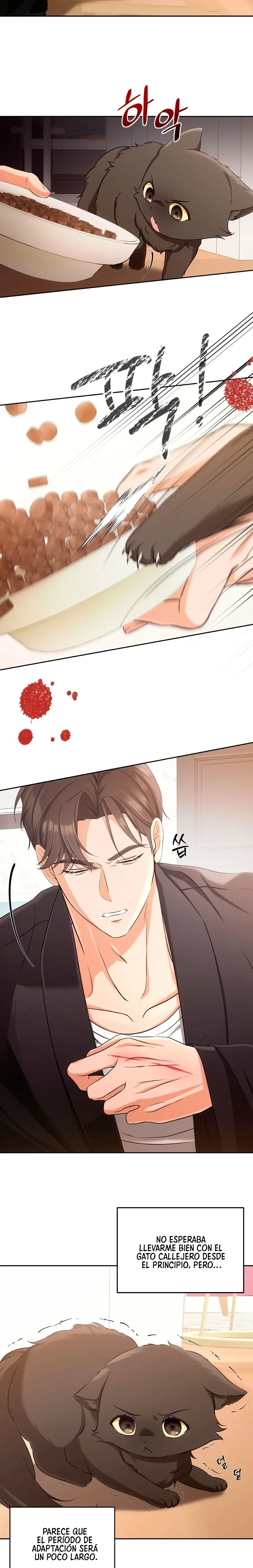 Terapia de gatos Capítulo 2 - Page 3