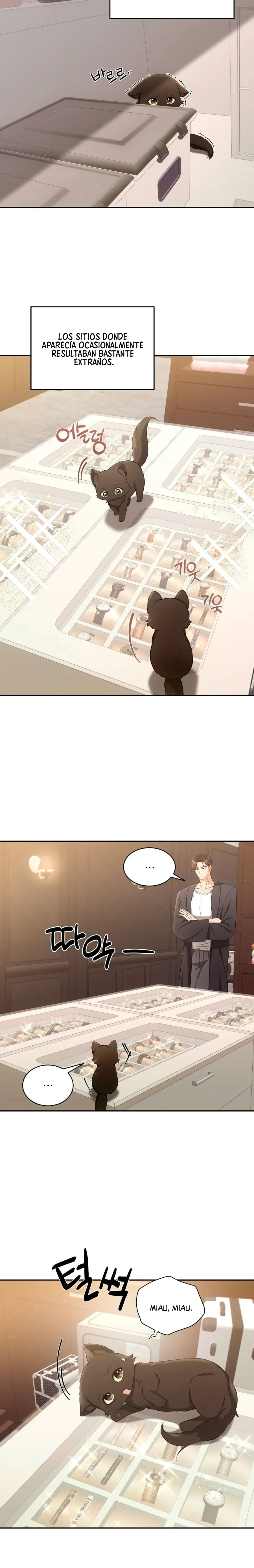 Terapia de gatos Capítulo 2 - Page 5