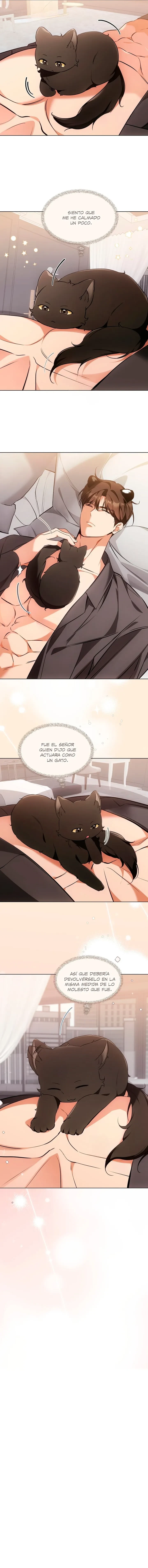 Terapia de gatos Capítulo 21 - Page 7