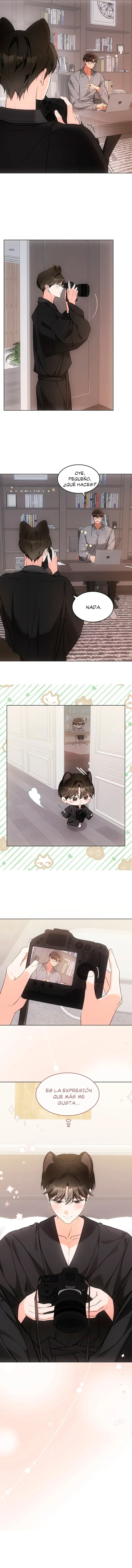 Terapia de gatos Capítulo 23 - Page 7