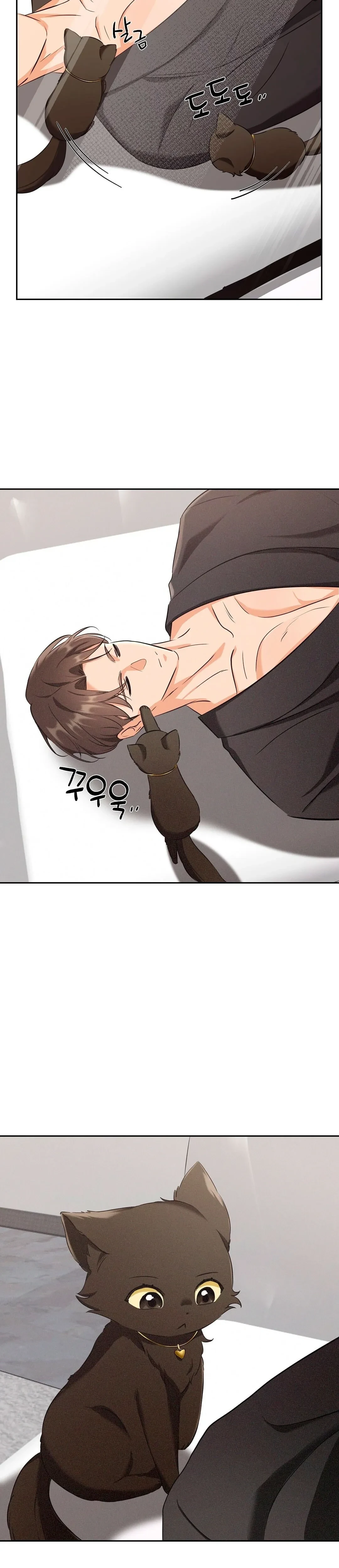 Terapia de gatos Capítulo 3 - Page 21