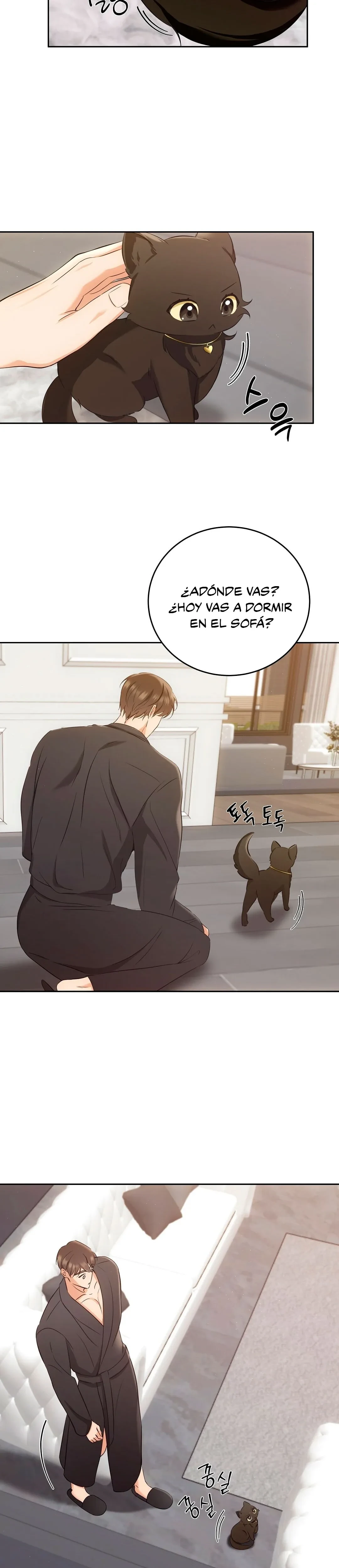 Terapia de gatos Capítulo 3 - Page 5