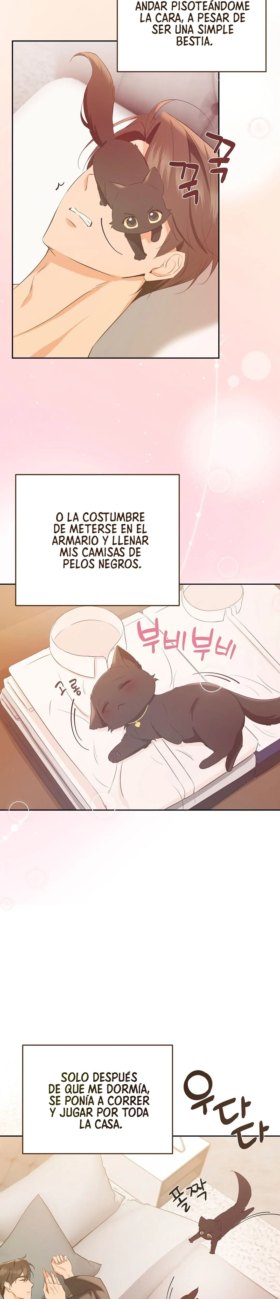 Terapia de gatos Capítulo 4 - Page 7