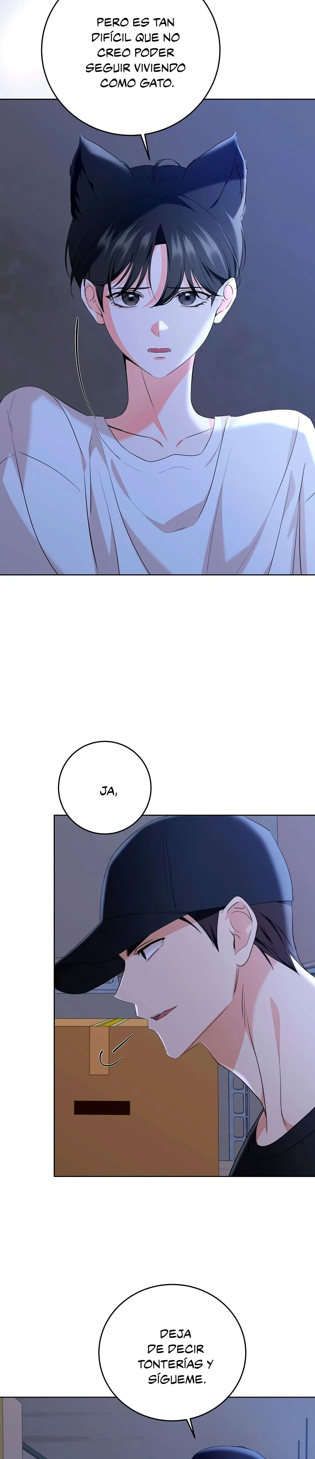 Terapia de gatos Capítulo 5 - Page 12