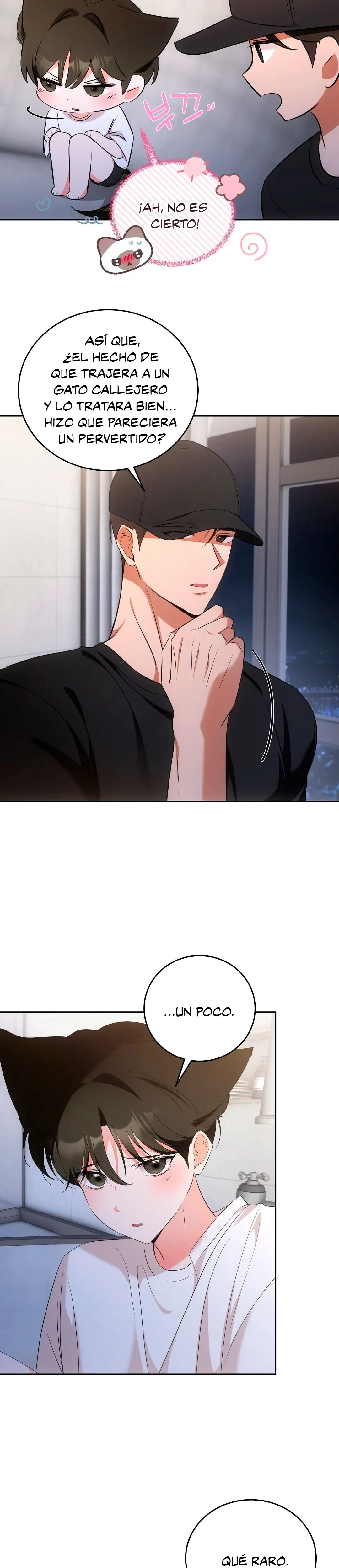 Terapia de gatos Capítulo 6 - Page 19