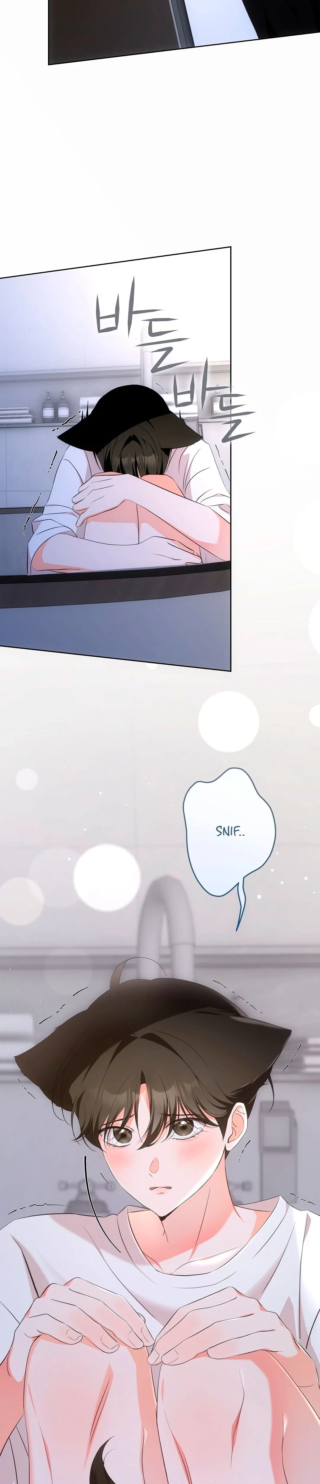 Terapia de gatos Capítulo 6 - Page 7