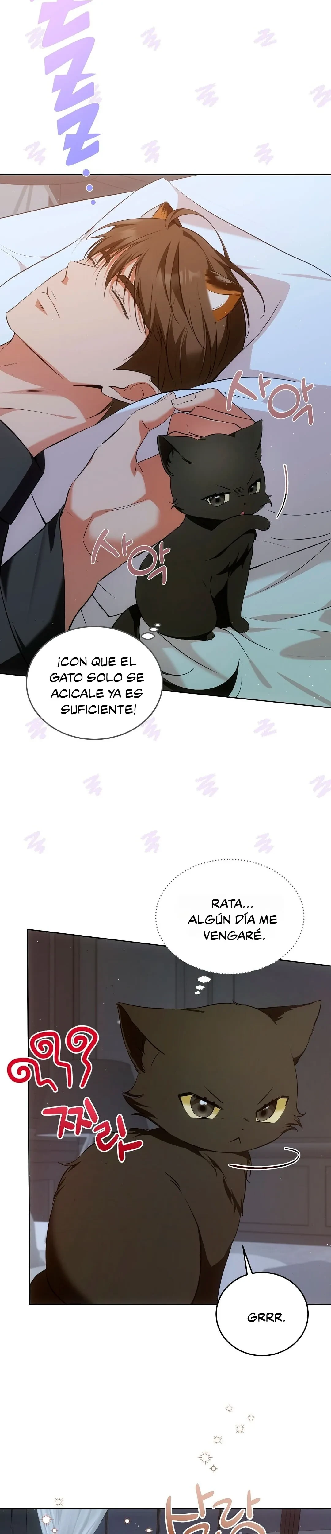 Terapia de gatos Capítulo 7 - Page 4