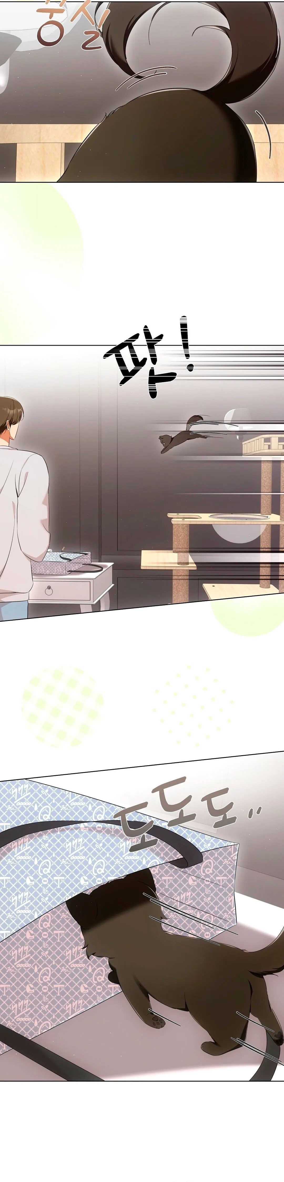 Terapia de gatos Capítulo 8 - Page 12