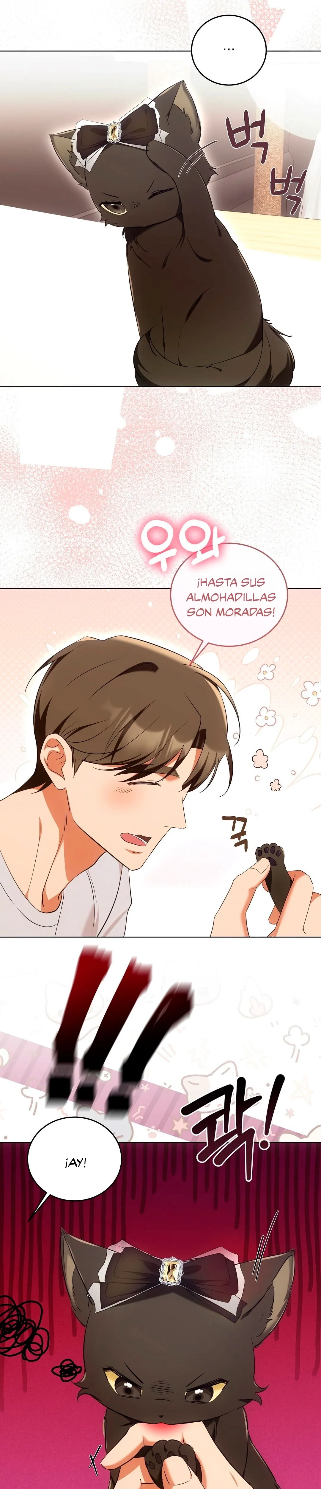 Terapia de gatos Capítulo 8 - Page 17