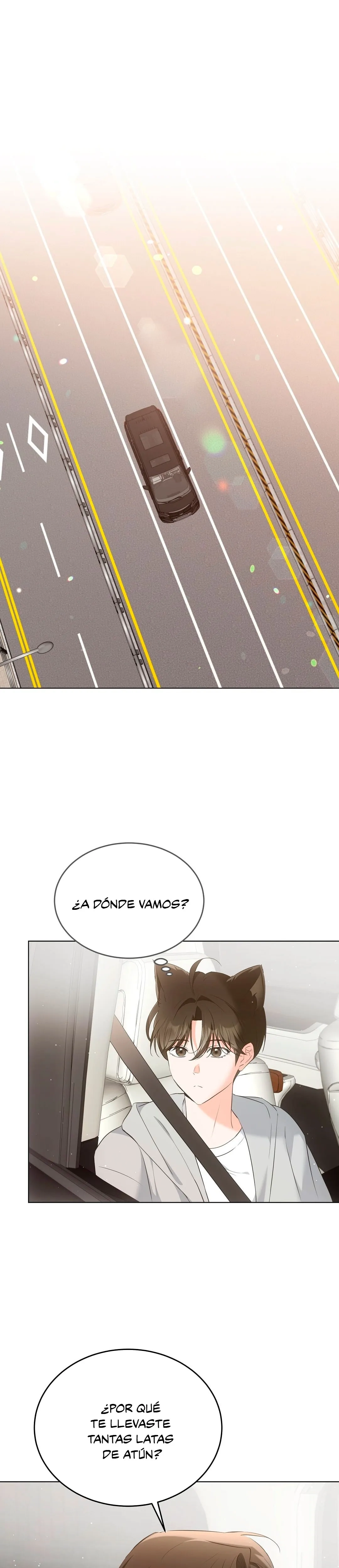 Terapia de gatos Capítulo 9 - Page 1