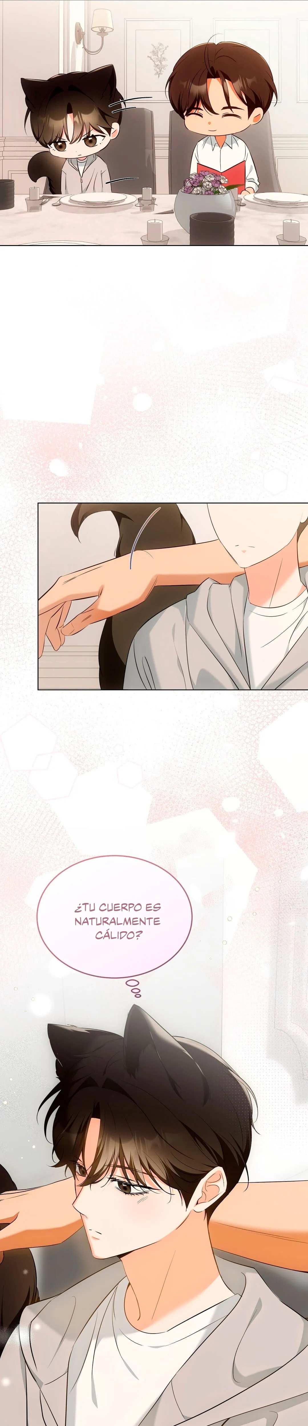 Terapia de gatos Capítulo 9 - Page 13