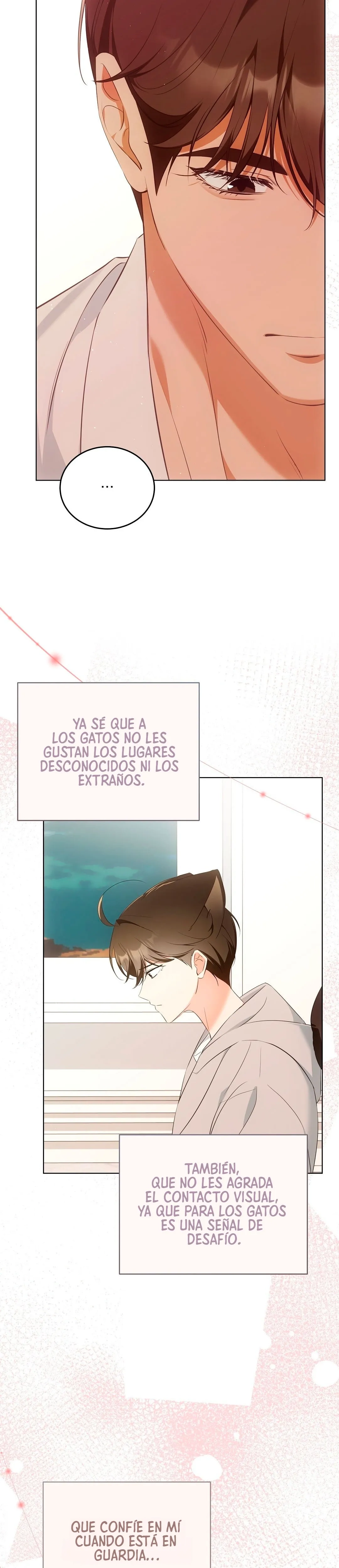 Terapia de gatos Capítulo 9 - Page 19
