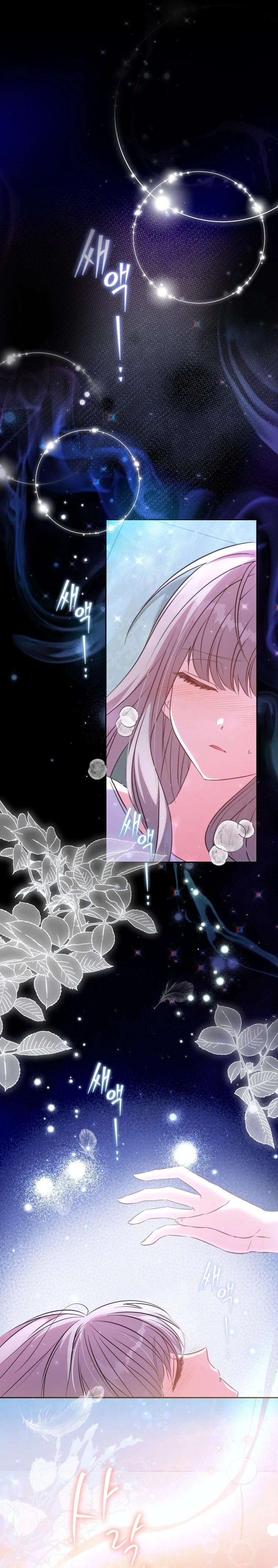 Una Santa Adoptada Por El Gran Duque Capítulo 12 - Page 9