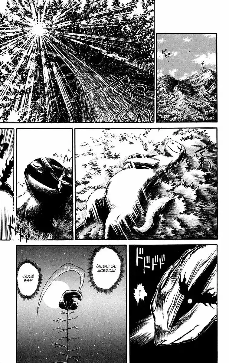 Ushio to Tora Capítulo 41 - Page 17