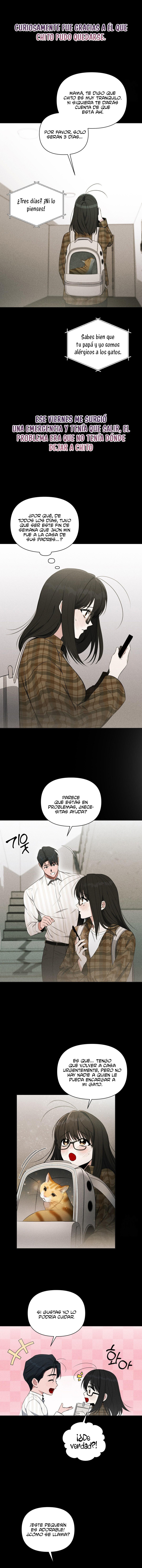 Falsa Apariencia Capítulo 3 - Page 15