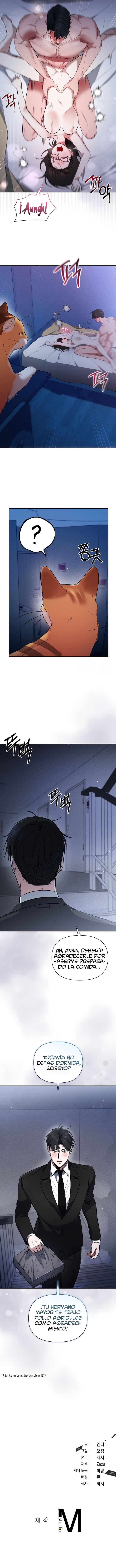 Falsa Apariencia Capítulo 7 - Page 11