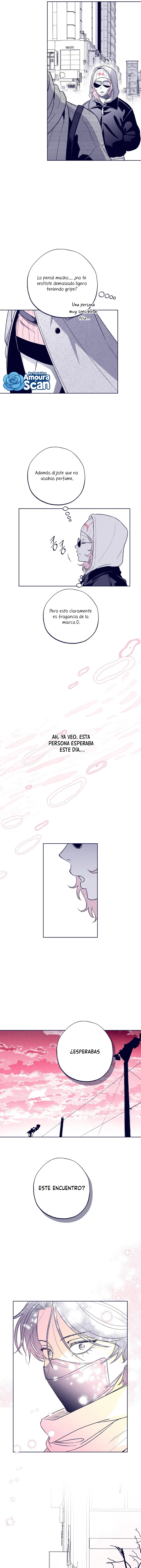 La estrella de al lado que me hechizó Capítulo 13 - Page 16