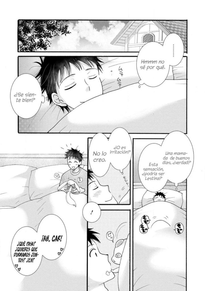 Ataerareta Skill wo Tsukatte Kasei de Isekai Bijotachi to Ichaicha shitai Capítulo 17.1 - Page 5